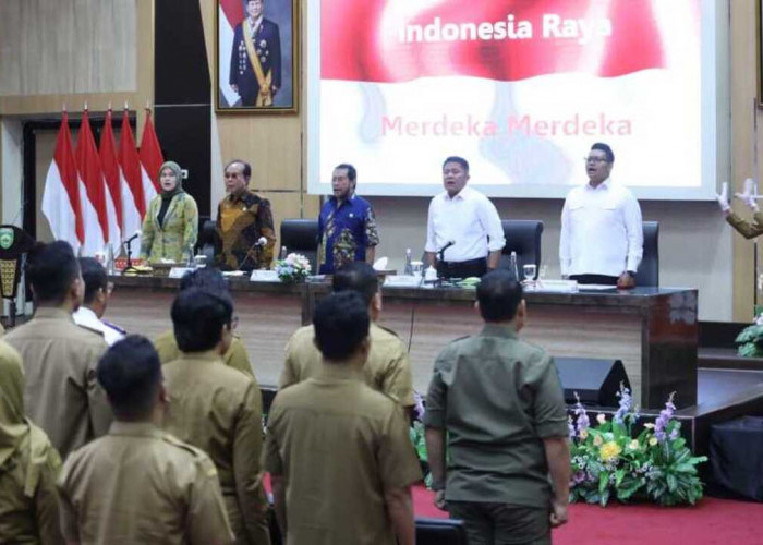 Gubernur Herman Deru Paparkan Potensi Sumsel di Hadapan Komite I DPD RI