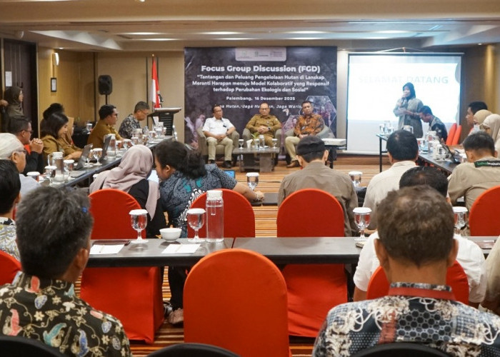 Tantangan dan Peluang Pengelolaan Hutan Meranti Harapan Menuju Model Kolaboratif yang Responsif