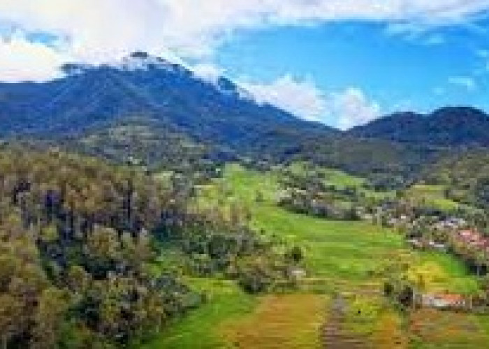 5 Kecamatan Terluas Kabupaten Dharmasraya Calon Ibukota Provinsi Sumatera Tengah Pemekaran Gabungan 3 Provinsi