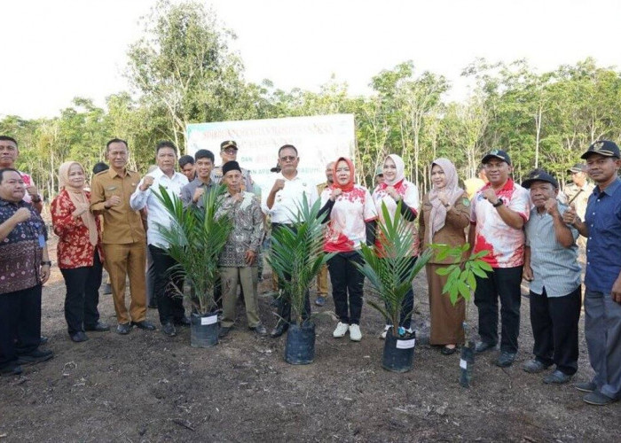Pemkot Prabumulih Salurkan Bantuan Ribuan Batang Bibit Sawit dan Karet