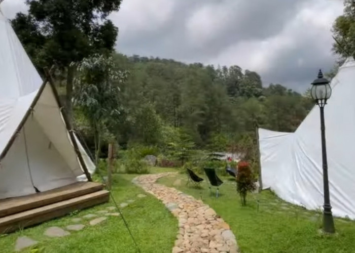Surga Camping : Forest Garden Batulayang Hadir dengan Nuansa Alam dan Healing di Tengah Hutan Pinus