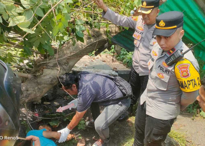 Pohon Tumbang di Jalan Kapten A Rivai Palembang Timpa Pengendara Motor, Satu Korban Meninggal di Lokasi