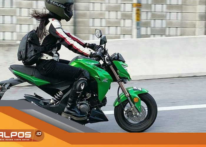  Kawasaki Z 125 Pro: Tampil Garang Siap Saingi Honda Monkey 125