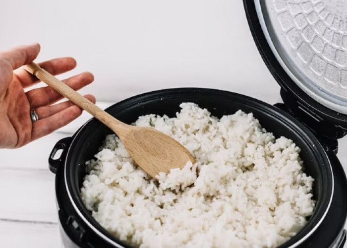 Ibu-Ibu, Ini 7 Rekomendasi Rice Cooker Terbaik 2023 dengan Harga Terjangkau