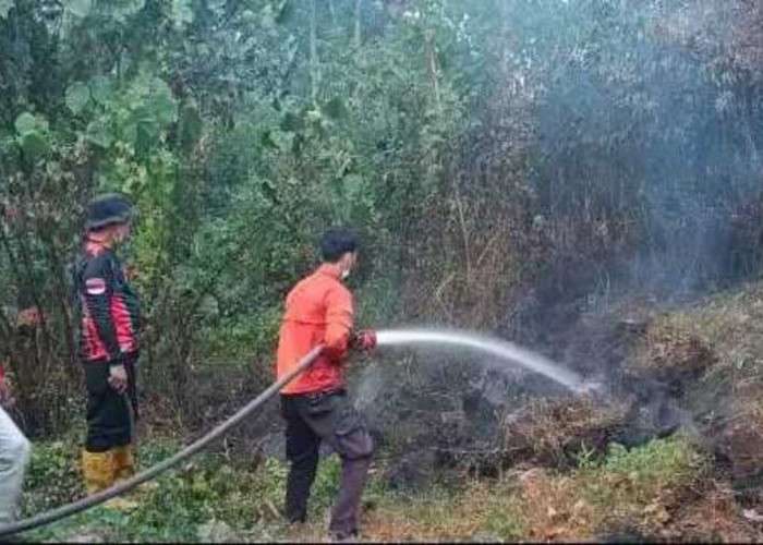 Dua Lahan dì OKU  Terbakar, Luasnya Capai 3 Ha