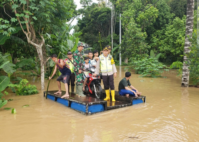   165 Haktere Lahan Pertanian di OKU Terendam Banjir