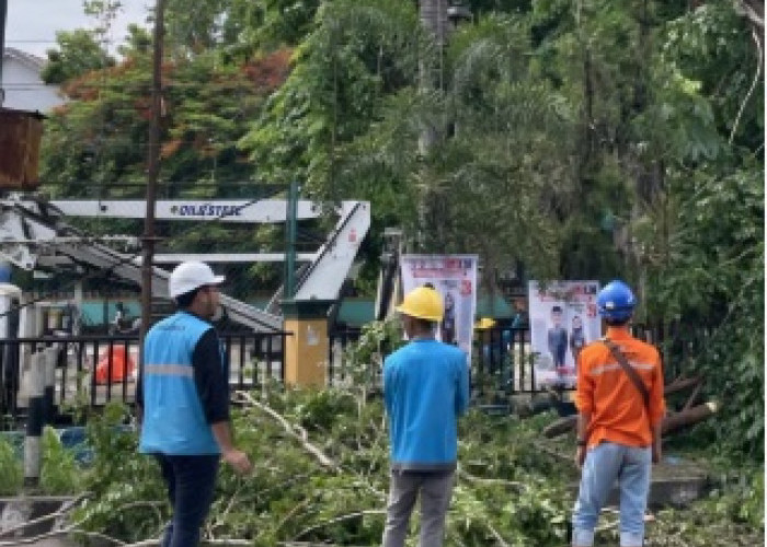 Gerak Cepat PLN Pulihkan Listrik Pasca Angin Puting Beliung di Muara Enim Sumatera Selatan