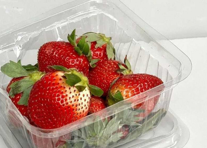 Tips dan Trik untuk Menumbuhkan Buah Strawberry yang Sehat dan Menghasilkan Hasil yang Melimpah