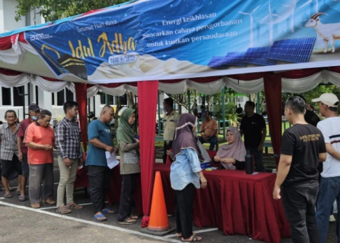 Rayakan Iduladha 1446H, PLN Salurkan Daging Kurban di Berbagai Daerah