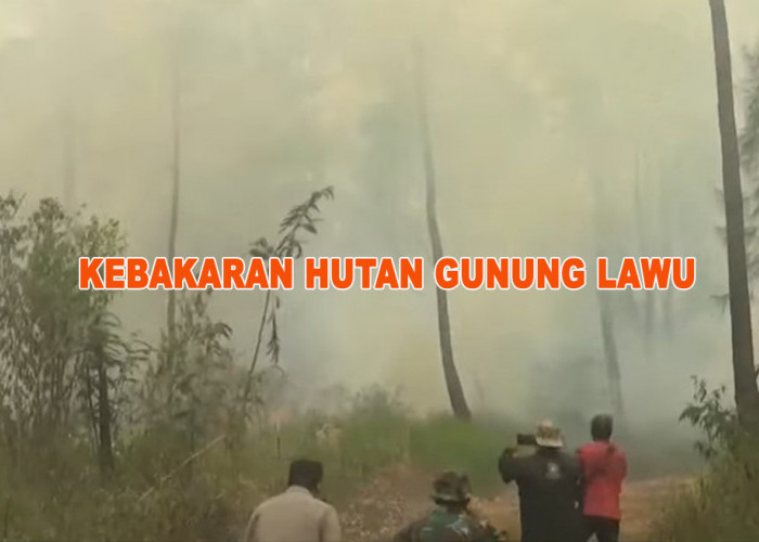 Kebakaran Gunung Lawu: 30 Hektar Terbakar, Mbok Yem Pemilik Warung Tertinggi di Dunia Dipastikan Selamat