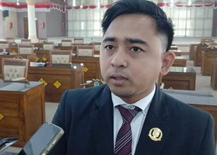 Rawan Kecelakaan, Anggota DPRD Ini Minta Pemkab OI Lakukan Tebas Bayang Jalan