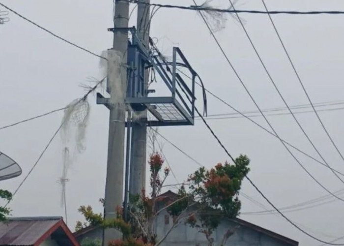 Semakin Nekat dan Meresahkan, Kawanan Pencuri di Prabumulih Gasak Trafo dan Kabel yang Terpasang di Tiang PLN 