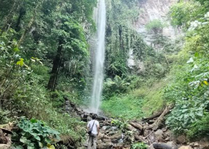 Asri dan Indah: Daya Tarik yang Ditawarkan Air Terjun Putri Malu Lampung!