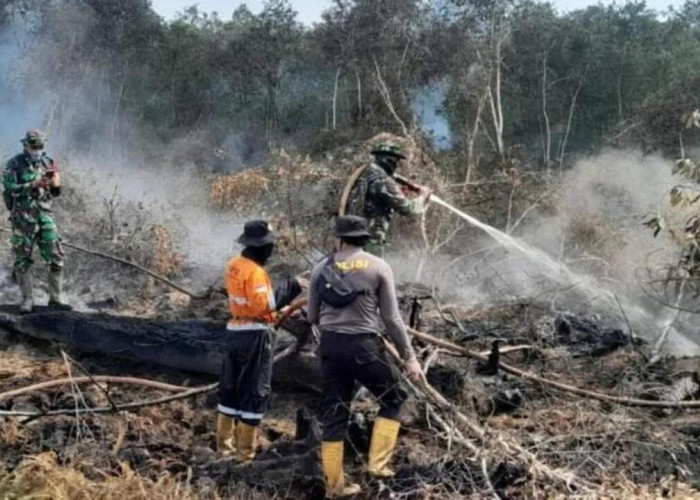 Tiga Kecamatan Masuk Zona Waspada Karhutla