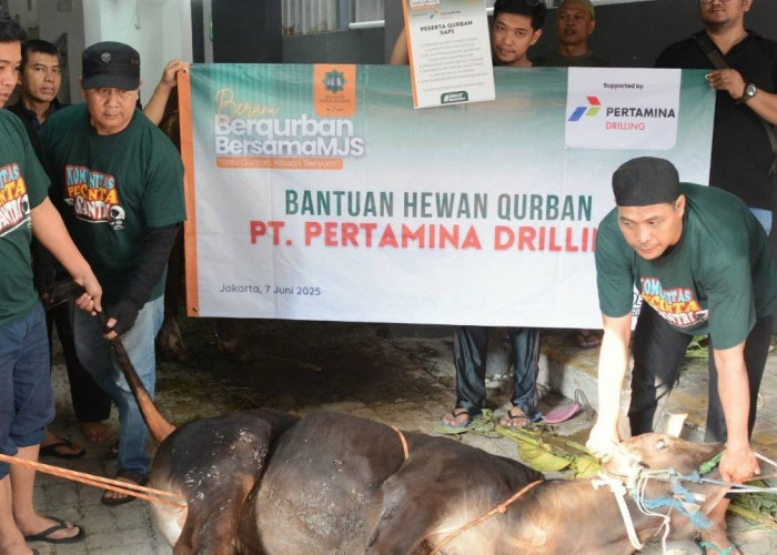 Idul Adha 1446 H, Pertamina Drilling Distribusikan 16 Hewan Kurban