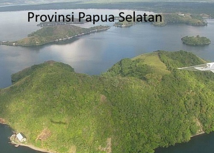 Otonomi Baru Papua Selatan: Pemekaran Wilayah Diharapkan Membawa Peluang Baru bagi Industri Lokal