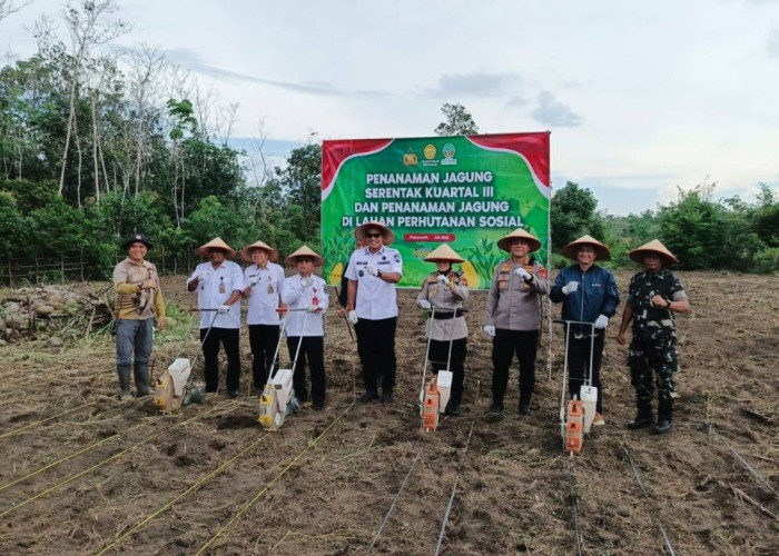 Wujudkan Ketahanan Pangan, Polres Prabumulih Optimalkan Perhutanan Sosial untuk Budidaya Jagung