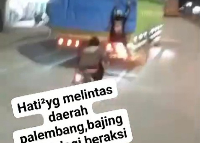 Bajing Loncat di Jaminsum Palembang-Indralaya Kian Meresahkan