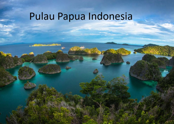 Rencana Pemekaran Papua: Pilih Papua Utara atau Papua Timur sebagai Daerah Otonomi Baru (DOB)