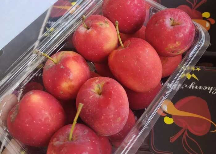 Sensasi Manis dan Segar dari Keajaiban Apple Cherry yang Menggoda Selera