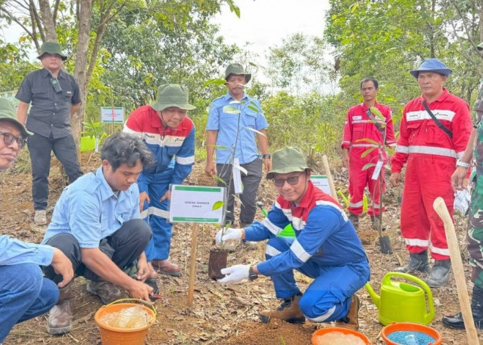 Tangkal Perusakan Habitat Gajah, Pertamina EP Lakukan Aksi Hijau di Koridor Jalur Gajah Sumatera