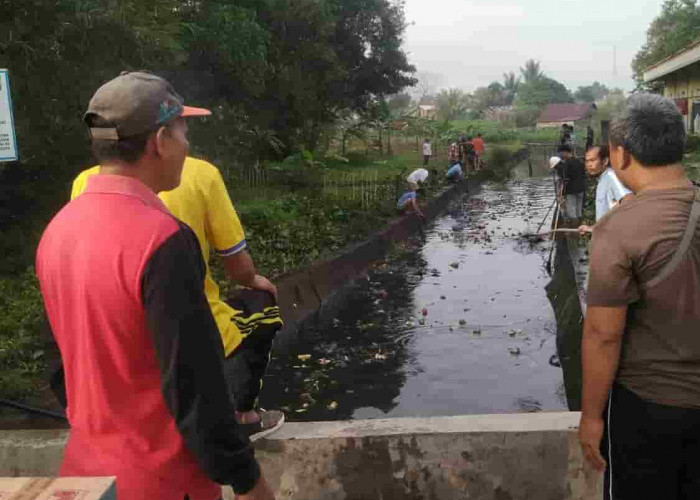 Camat Jakabaring dan Lurah Silaberanti Pimpin Gotong Royong Bersihkan Anak Sungai Aur