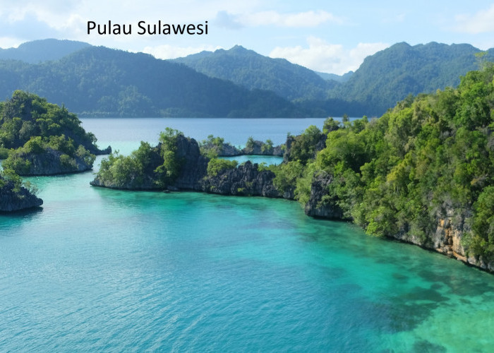 Pemekaran Wilayah di Pulau Sulawesi: Perjuangan dan Rencana Pembentukan 8 Provinsi Baru