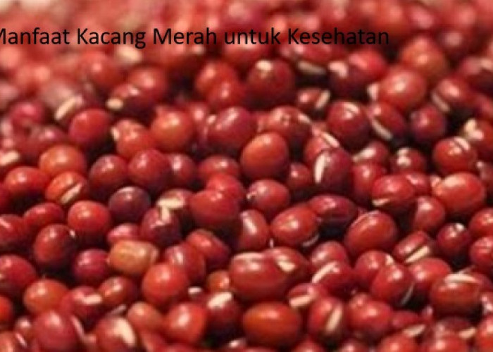 16 Manfaat Kacang Merah Untuk Kesehatan