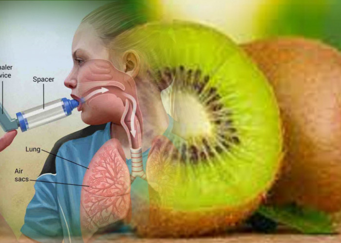 Sangat Bermanfaat Bagi Pengidap Asma, Simak Kandungan Apa Yang Ada Dalam Buah Kiwi