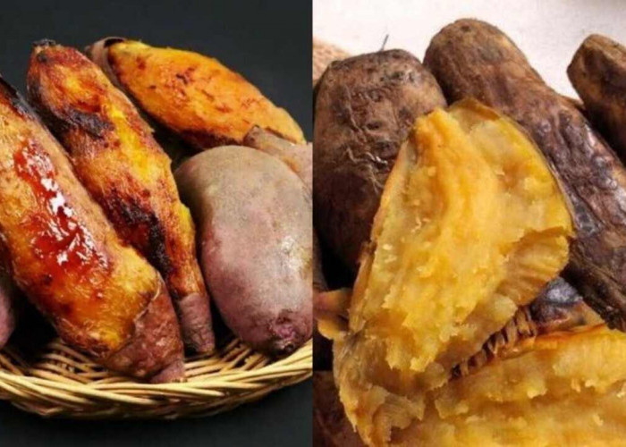 Ubi Cilembu, Si Manis dari Sumedang yang Terus Menjaga Pamor di Pasar Nasional