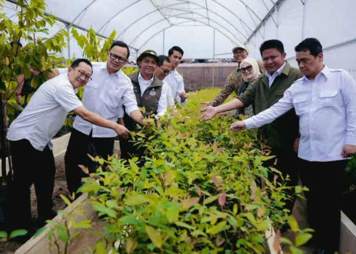 Menhut Resmikan Pusat Persemaian Sriwijaya Kemampo di Banyuasin, Perkuat Jaringan Persemaian Nasional