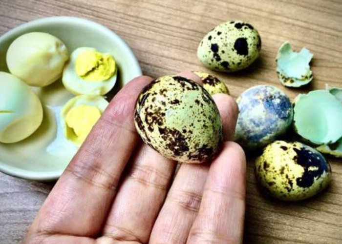Sensasi Kuliner Mini: Telur Puyuh dan Kreativitas Rasa yang Menggoda