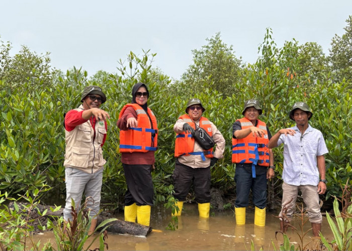 Bukan Sekadar Tanam Pohon! Medco E&P Libatkan Warga Rawat 22.000 Mangrove di Banyuasin