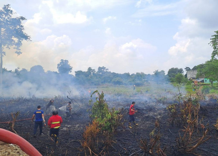 Sigap dan Tangguh, Tim Damkar Muba Jinakkan Karhutbunlah di Belakang Komplek Kejaksaan Sekayu