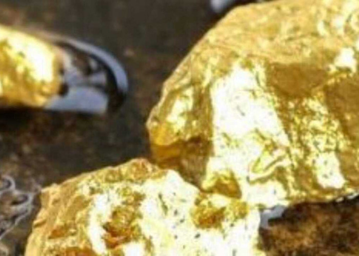 Sikat Tambang Emas Ilegal di Lahan PTPN Lampung, Polisi Amankan Potensi Kerugian Rp1,3 Triliun