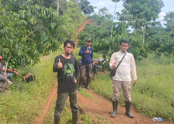 Jejak Bumi Indonesia Kampanyekan Gerakan Menanam Pohon Cegah Banjir