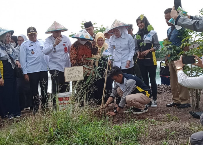 Pemkot Palembang Bersama Universitas Tridinanti Tanam Bibit Pohon di Kawasan Lebak Murni, Ini Tujuanya...