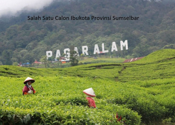 Pemekaran Provinsi Sumatera Selatan: Antara Rencana Sumselbar dan Palapa Selatan