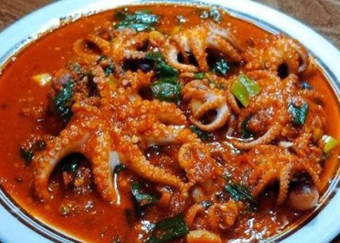 Gurita Sambal Balado, Perpaduan Cita Rasa Laut dan Rempah Nusantara yang Semakin Digemari