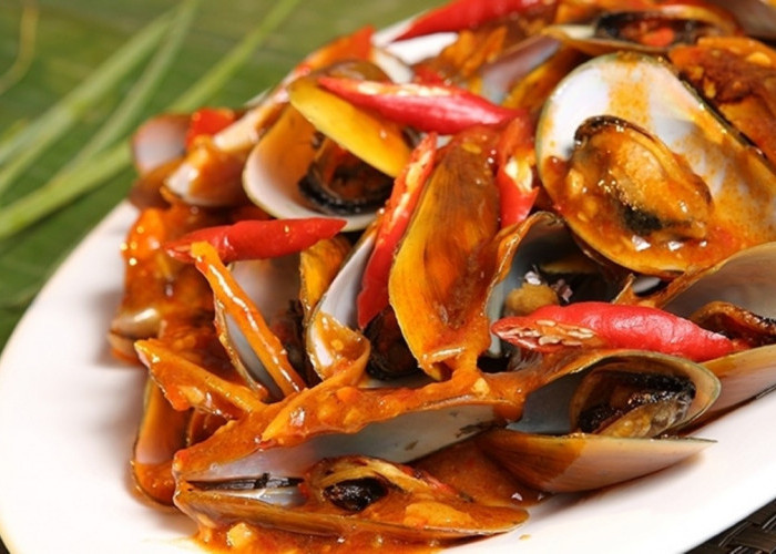 Kerang Hijau Saus Padang Kian Diminati, Perpaduan Cita Rasa Pedas dan Gurih Memikat Pecinta Kuliner