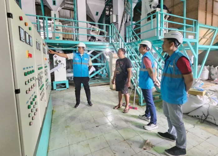 Konsumsi Listrik Nasional Tumbuh, PLN Catat Penjualan 317,69 TWh di 2025