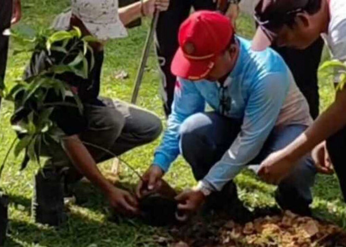 Gerakan Hijau Prabumulih Digenjot, Pemkot Tanam Pohon Buah untuk Lingkungan dan Ketahanan Pangan