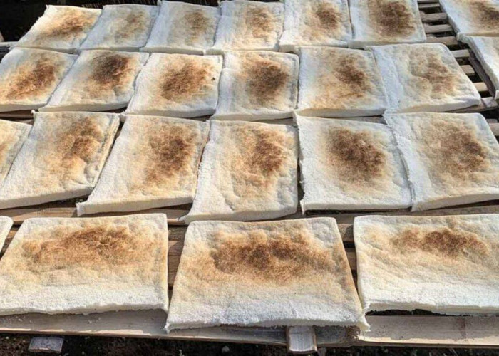 Sagu Lempeng : Warisan Kuliner Nusantara yang Kembali Dilirik di Tengah Tren Makanan Sehat