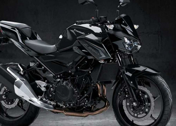 Kawasaki Z250 MY 2026 Makin Brutal, Mesin 36 PS Desain Sugomi Jadi Andalan.