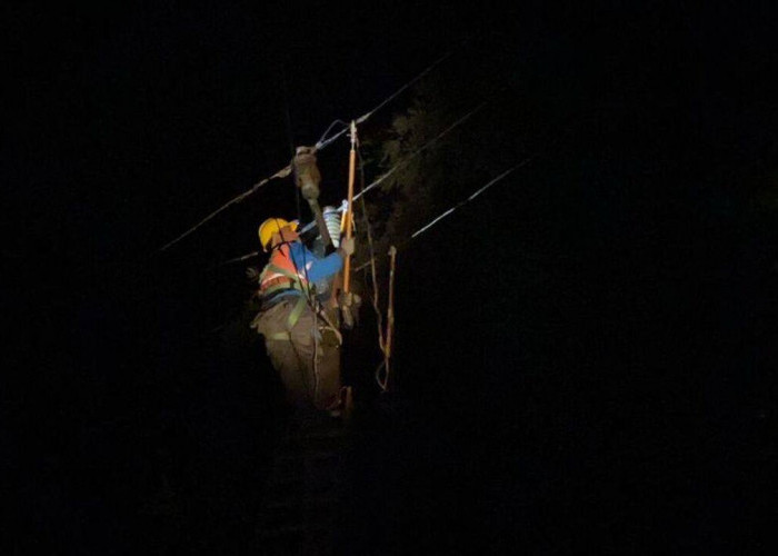 Gerak Cepat PLN Pulihkan Listrik Akibat Cuaca Ekstrem di OKU