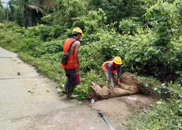 PUPR Maksimalkan Kegiatan Tebas Bayang di Ruas Jalan Tebing Bulang–Kertajaya