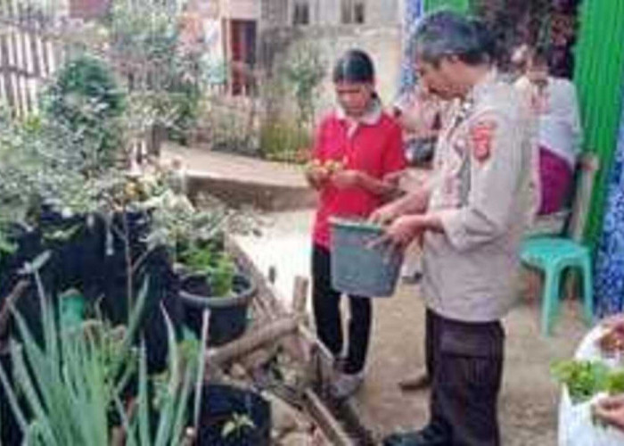 Dorong Ketahanan Pangan, Tanaman Cabai dan Daun Bawang