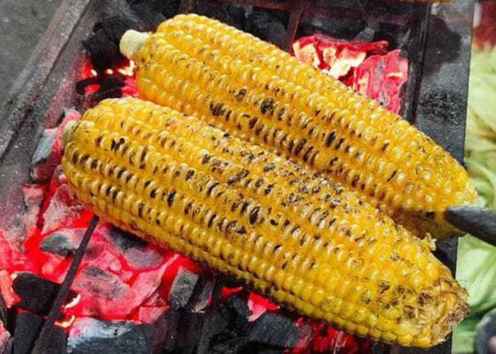 Jagung Bakar : Hidangan Legendaris yang Selalu Menggoda Selera