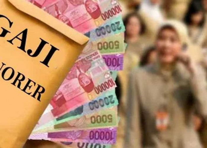 Gaji Honorer Tembus Rp 6 Juta Setelah PMK Nomor 39 Tahun 2024 Resmi Berlaku: Angin Segar di Awal 2025