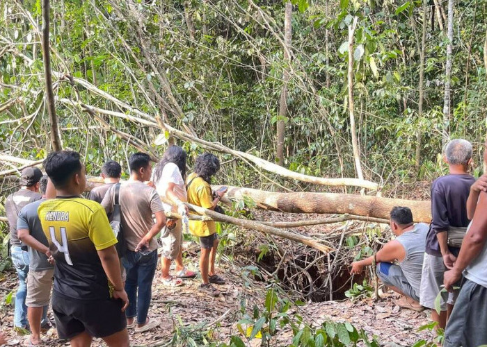 Warga Temukan Tengkorak dan Tulang Belulang Manusia di Semak Belukar Bayung Lencir